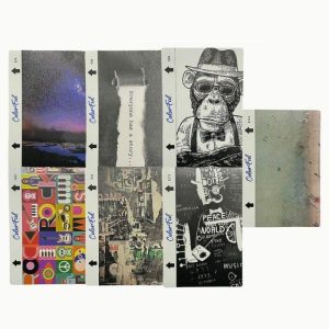 Pack X10 Film Hidrogel Diseño 057D Plotter